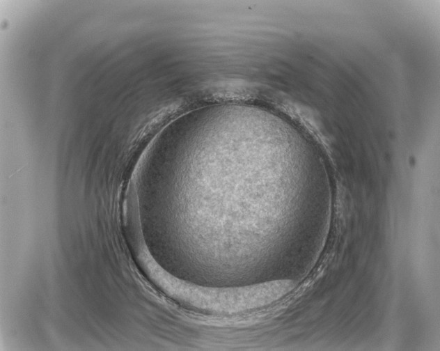 X0000087550017200705041339