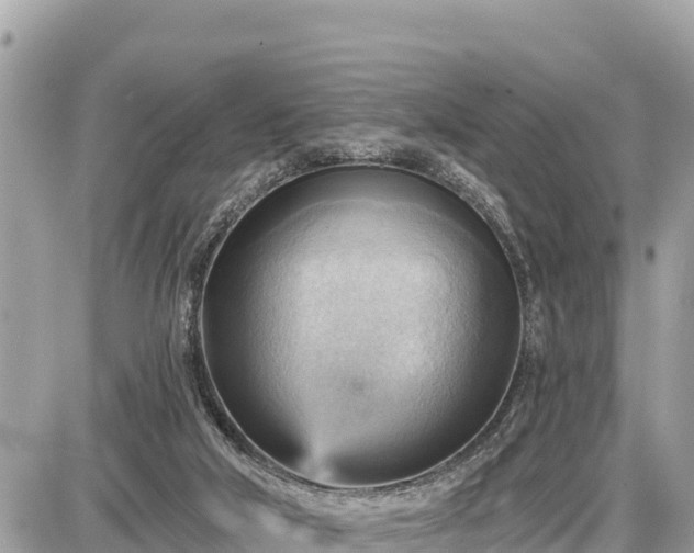 X0000087550018200705041339