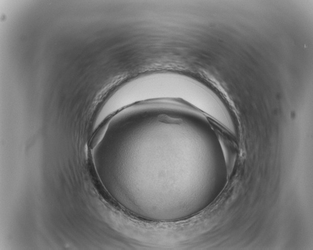 X0000087550019200705041339