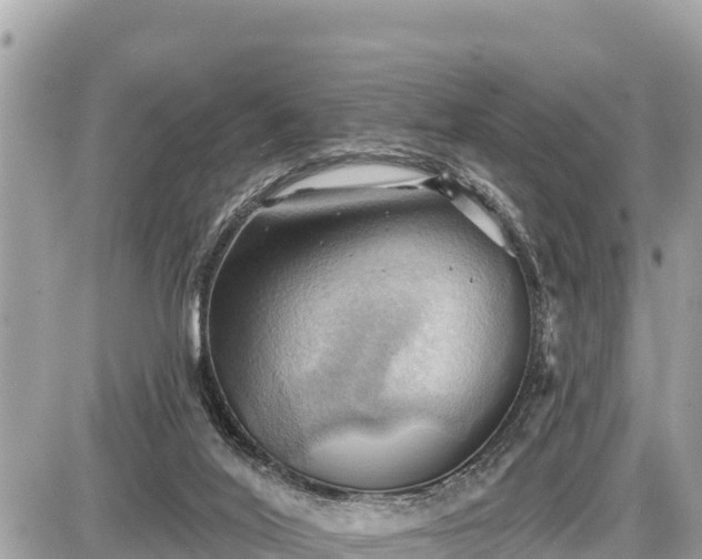 X0000087550020200705041339