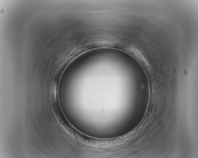 X0000087550021200705041339