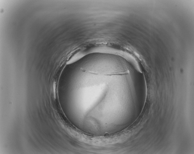 X0000087550022200705041339