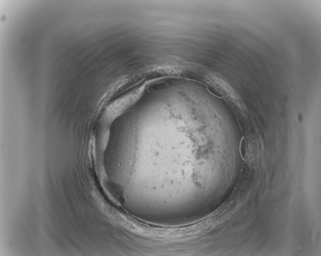 X0000087550023200705041339