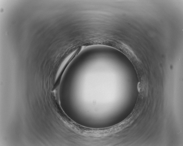 X0000087550025200705041339