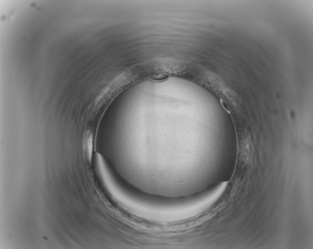 X0000087550027200705041339