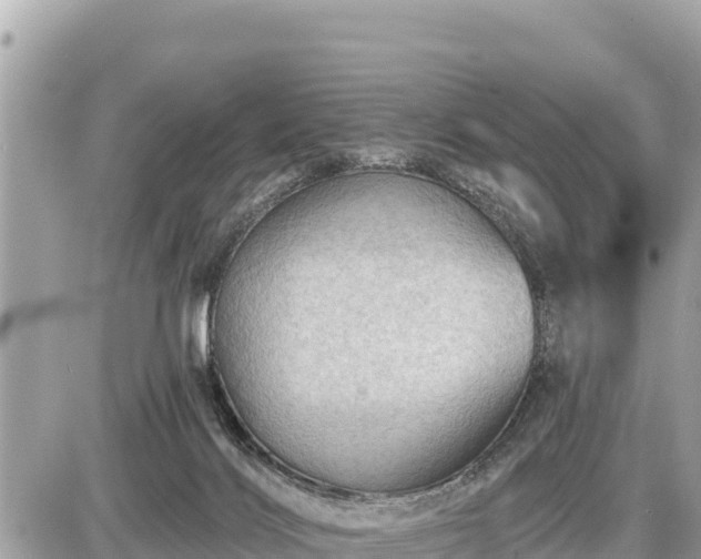 X0000087550028200705041339