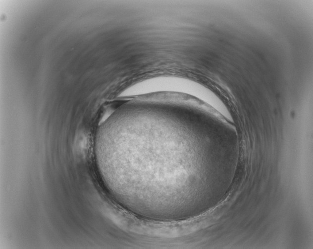 X0000087550029200705041339