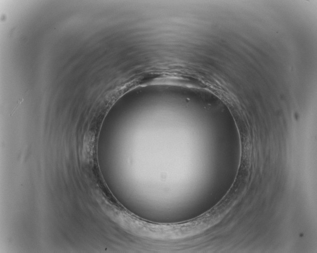 X0000087550030200705041339