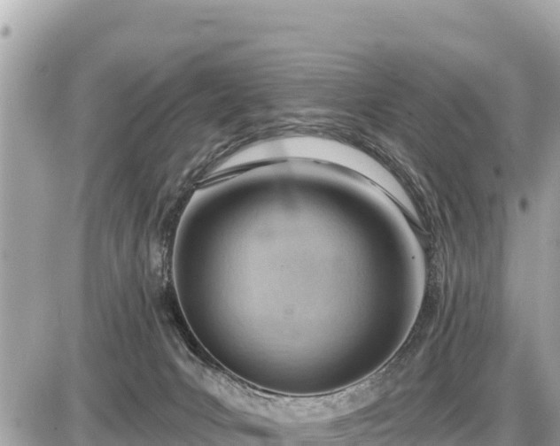 X0000087550031200705041339