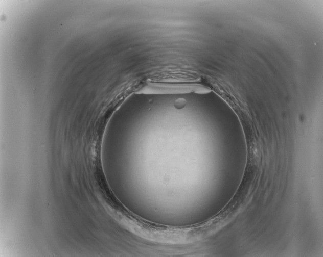 X0000087550032200705041339