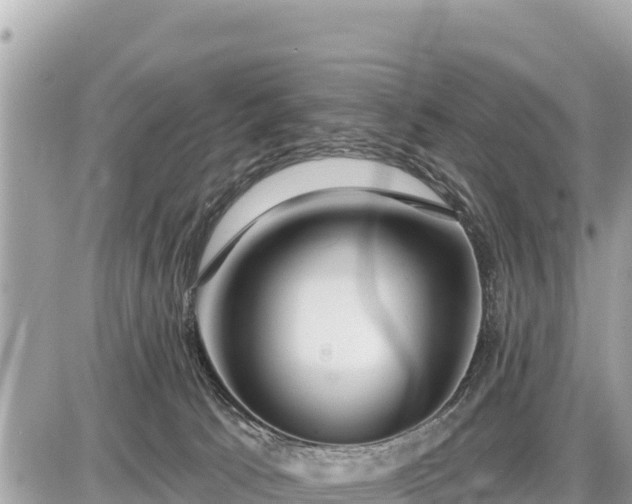 X0000087550033200705041339