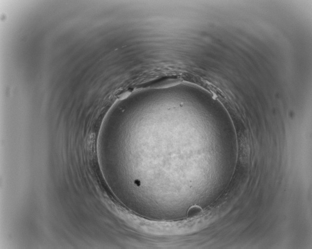 X0000087550034200705041339