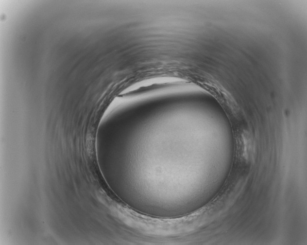 X0000087550035200705041339