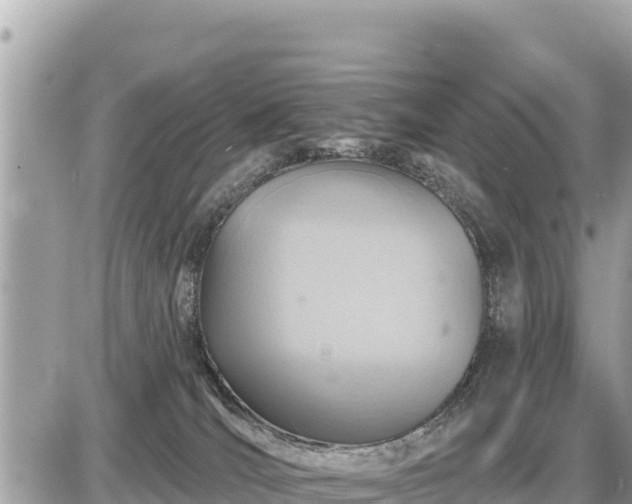 X0000087550036200705041339