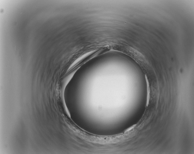 X0000087550037200705041339