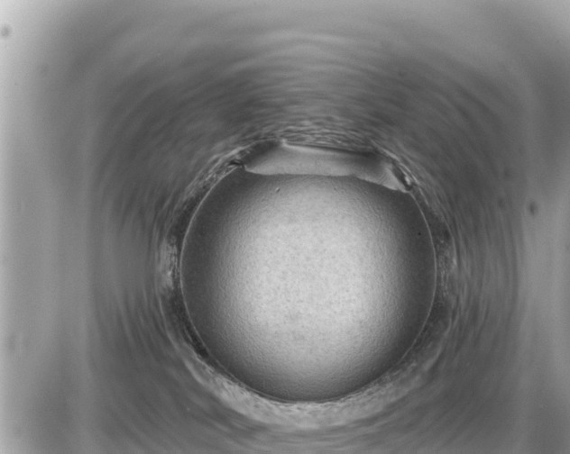 X0000087550038200705041339