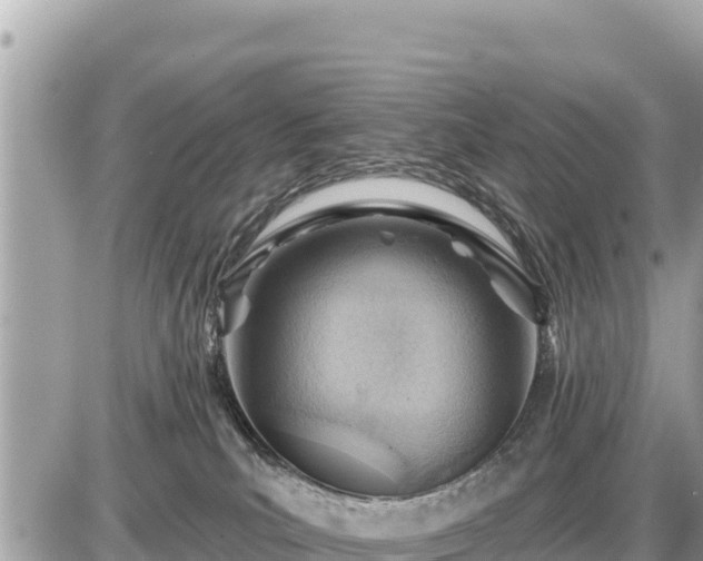 X0000087550039200705041339