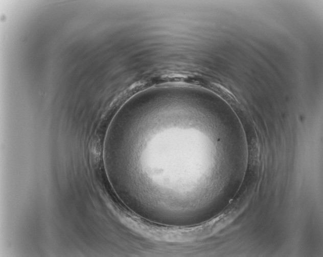 X0000087550040200705041339