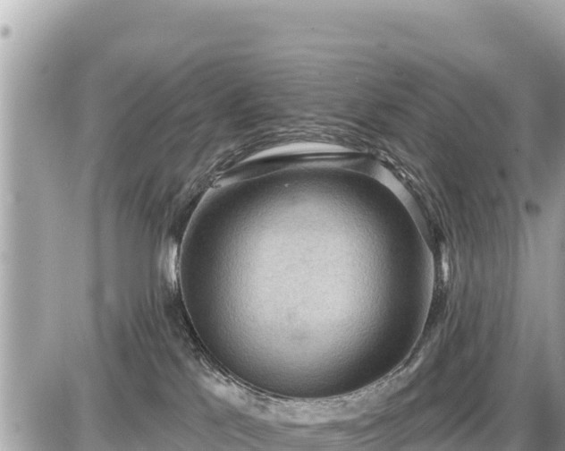 X0000087550041200705041339