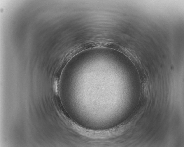 X0000087550042200705041339