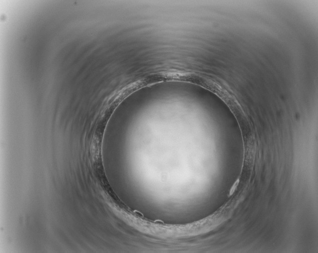 X0000087550043200705041339