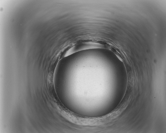 X0000087550044200705041339