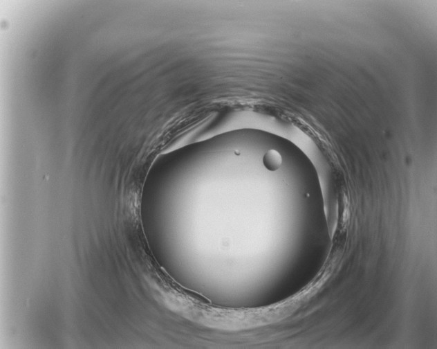 X0000087550045200705041339