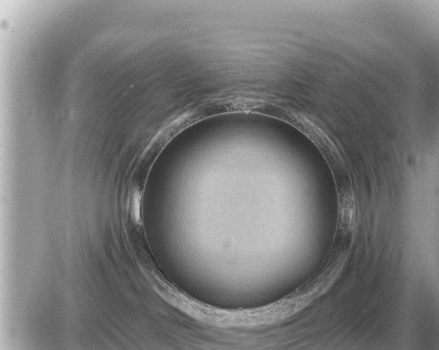 X0000087550046200705041339