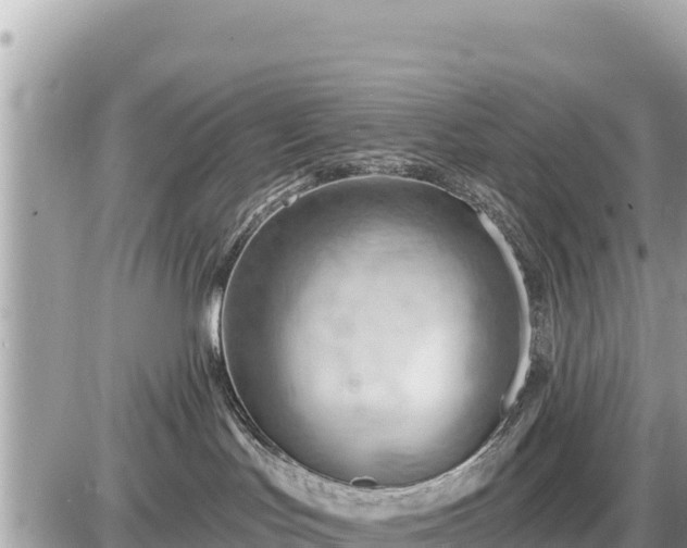 X0000087550047200705041339