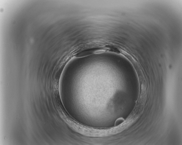 X0000087550048200705041339