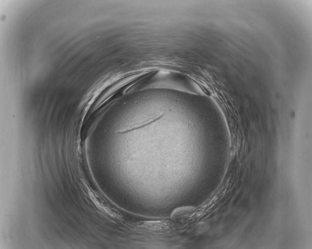 X0000087550050200705041338