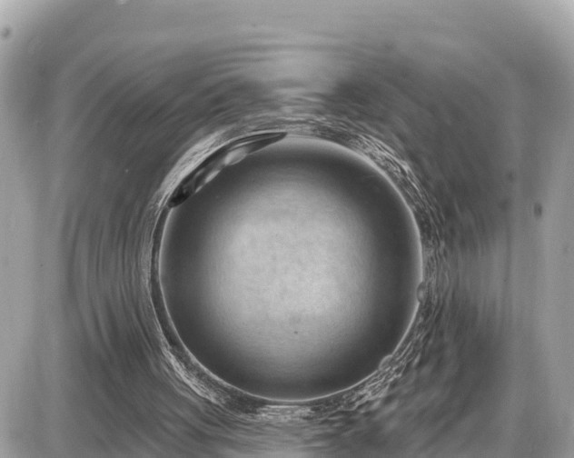 X0000087550051200705041338