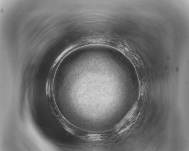 X0000087550052200705041338