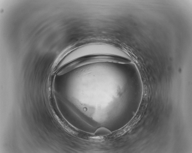 X0000087550053200705041338