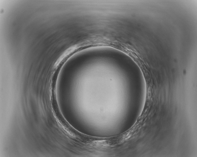 X0000087550054200705041338