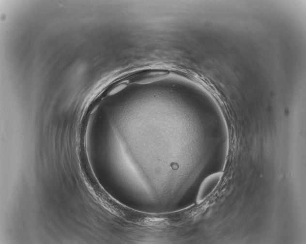 X0000087550055200705041338