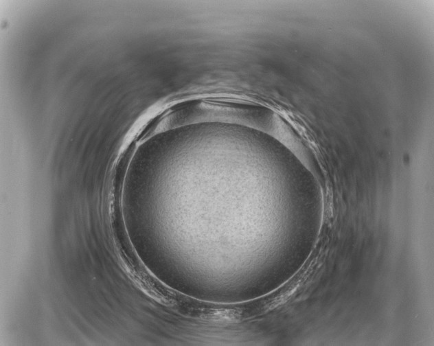 X0000087550056200705041338