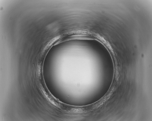 X0000087550057200705041338