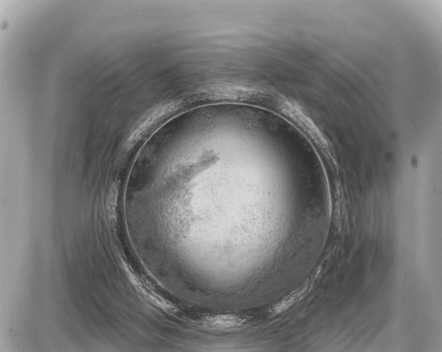 X0000087550058200705041338