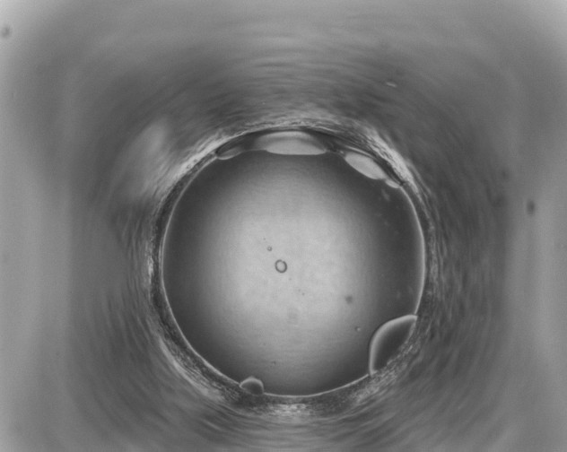 X0000087550059200705041338