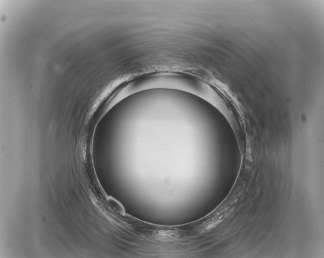 X0000087550060200705041338