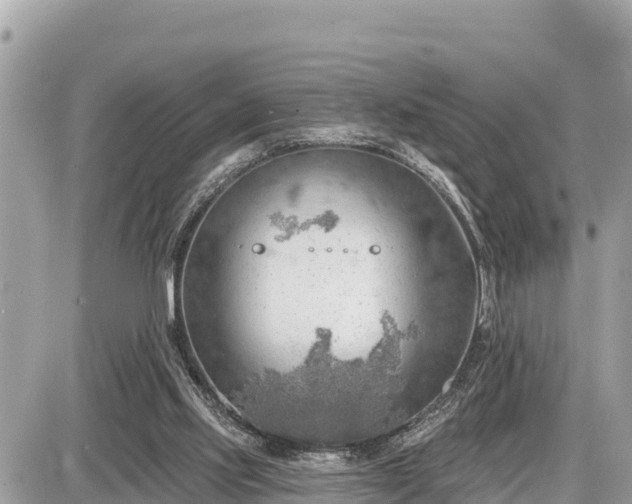 X0000087550061200705041338