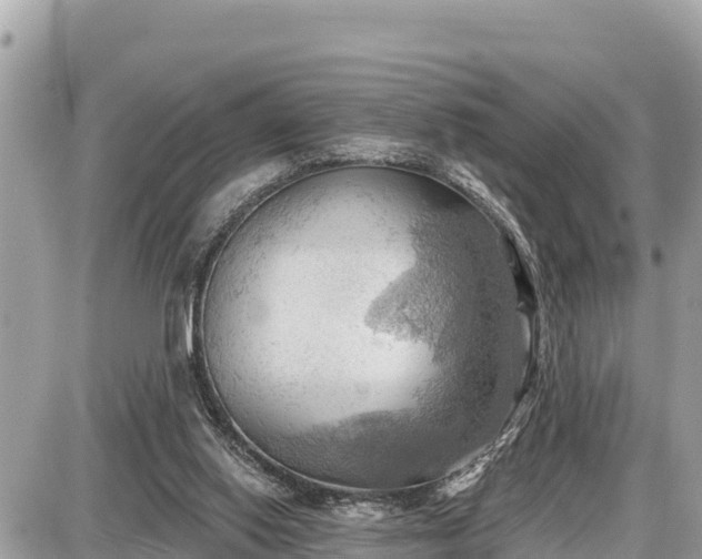 X0000087550062200705041338