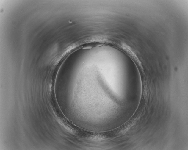 X0000087550063200705041338