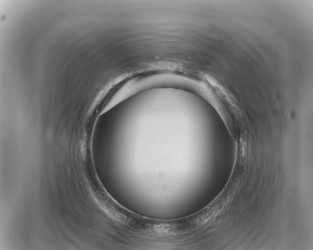 X0000087550064200705041338