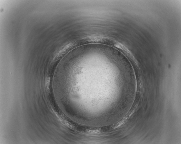 X0000087550066200705041338