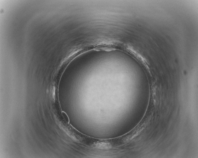 X0000087550067200705041338