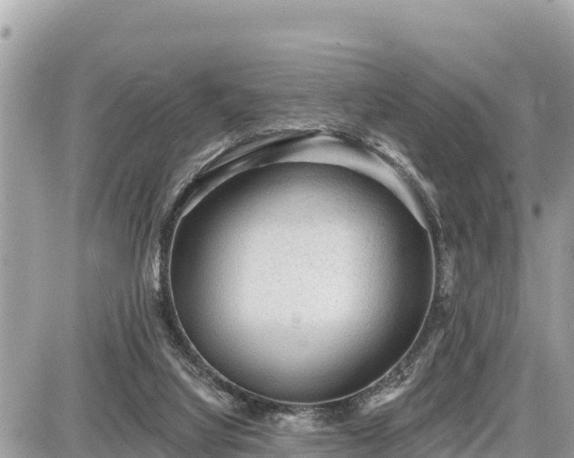 X0000087550068200705041338