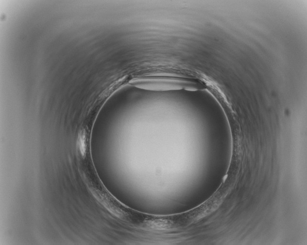 X0000087550069200705041338