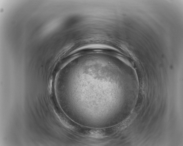 X0000087550070200705041338